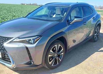 Lexus UX200 2.0 benz 173KM 2019r salon Polska, jeden właściciel