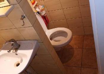 Odgrzybianie ścian Świebodzice - Vector. Usuwanie grzybów i pleśni