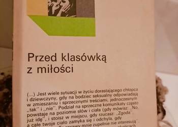 Przed klasówką z miłości Sztander książki Warszawa księgarni