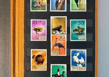 KLASER : FLORA i FAUNA