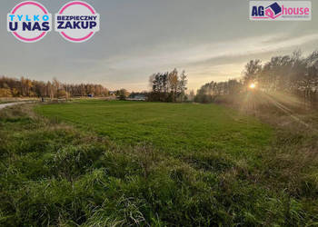 Grunt 2346m2 Pomlewo Kasztanowa