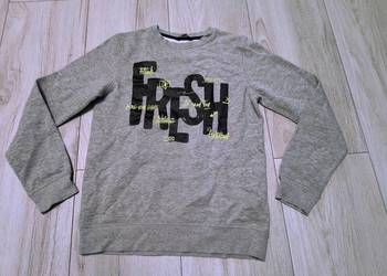 Bluza