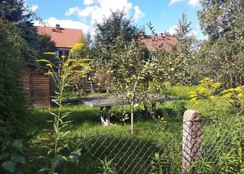 DZIAŁKA REKREACYJNA (300 m2) Okolice Hallera (Wrocław)