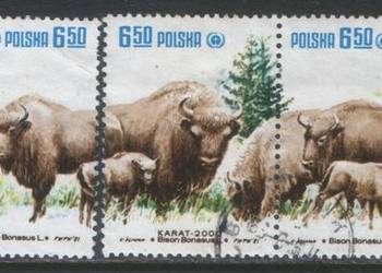 Zn. Fi 2608 - 12 kas 1981