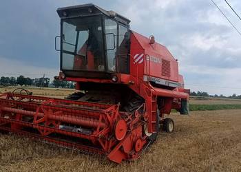 Bizon Rekord z058