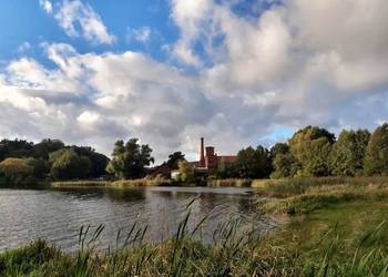 Działka w pobliżu jeziora