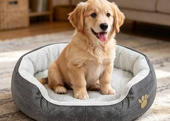 Legowisko dla psa kota poduszka 40x50cm 1905