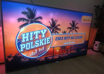 Telewizor 55 Philips widać wypalone ledy