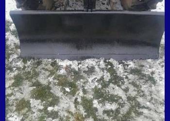 Witam sprzedam pug śnieżny