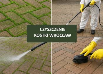 Czyszczenie kostki brukowej z mchu i chwastów, Wrocław, cennik