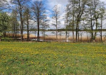 Działka przy linii brzegowej jeziora