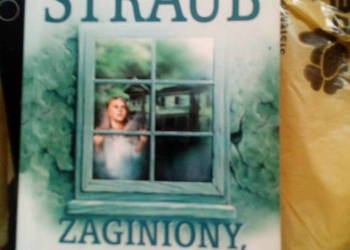 Zaginiony, zaginiona Peter Straub