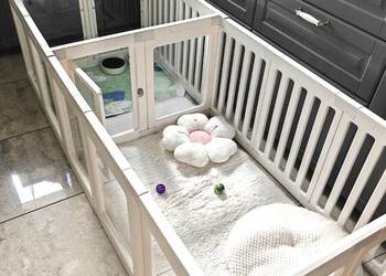 Nowy kojec dla kota psa szczeniąt kociąt