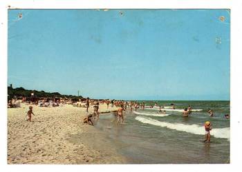 JASTARNIA PLAŻA JASTARNIA PLAŻA