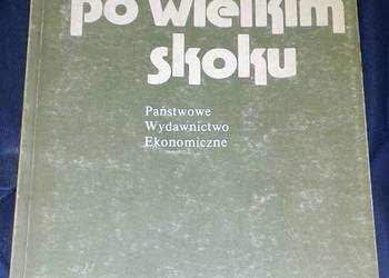Po wielkim skoku - Waldemar Kuczyński