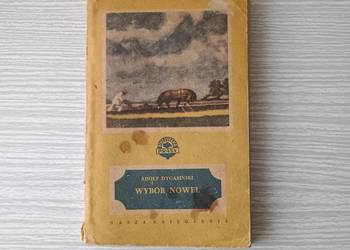 Książka Adolf Dygasiński Wybór Nowel