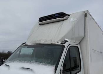 Iveco chłodnia mrożona