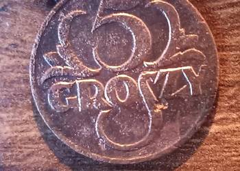 Moneta 5 groszy 1925 rok