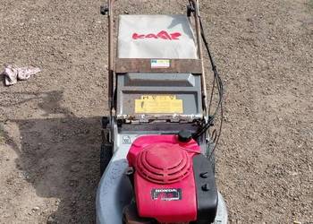 Kosiarka spalinowa honda