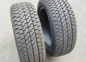 Opony Całoroczne Nexen N'blue 4SeasonVan 215/60 R17 109/107TC 2 sztuki