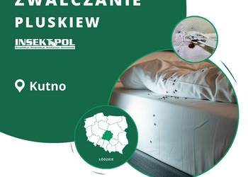 Zwalczanie pluskiew Kutno - Odpluskwianie, Skuteczna Dezynsekcja Pluskiew
