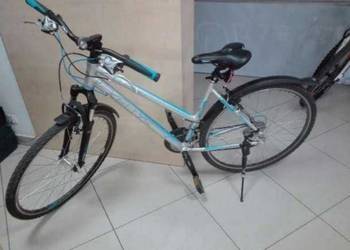Rower Kellys CLA 30 Silver 19"