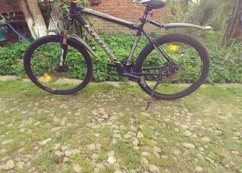 Rower Hexagon x6