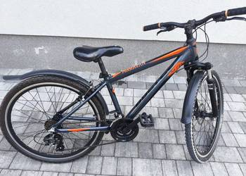 Rower Goetze Manhavan MTB