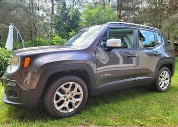 Jeep Renegade 1.4 turbo.