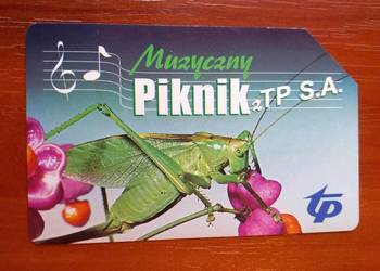 MUZYCZNY PIKNIK Z TP S.A. - KARTA TELEFONICZNA MUZYCZNY PIKNIK Z TP S.A. - KARTA TELEFONICZNA