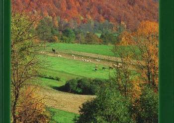 BIESZCZADY BARWY NATURY ALBUM   FA