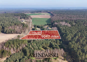 DZIAŁKI W MALOWNICZEJ OKOLICY!