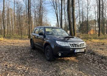 Subaru Forester mały przebieg