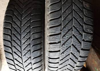 Opony zimowe Dębica Frigo, 2, 175/65/14 z 2013