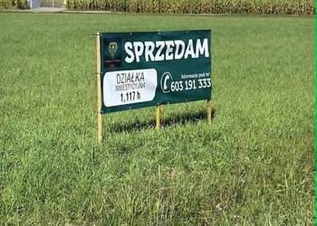 MIŁOSŁAW | DK15 | GOTOWY GRUNT POD INWESTYCJĘ 1,17 ha