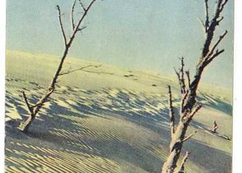 ŁEBA WYDMY NADMORSKIE ŁEBA WYDMY NADMORSKIE