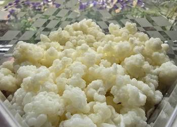 Grzybek tybetański 140g