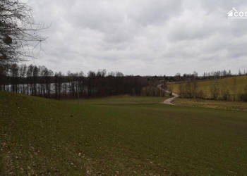 Działka Równe 14000m2
