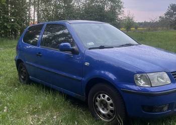 Wv Polo
