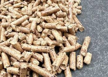 Pellet drzewny dostępny od ręki