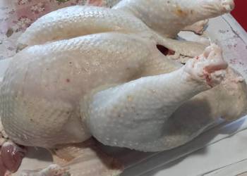 Mam na sprzedaż tuszki kury rosołowej