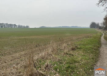 Ogłoszenie działka 27234m2 Chrząszczewo