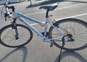 Rower kross evado L
