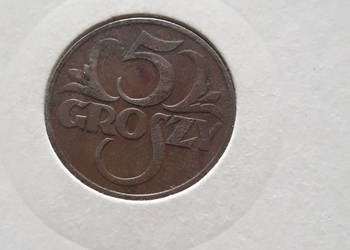 5 Groszy 1931 r. - nr 1 - Bardzo ładne, rzadkie