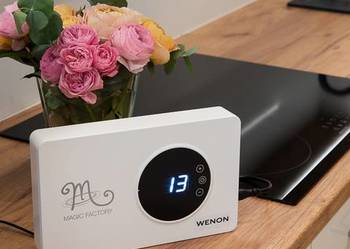 Ozonator Wenon MF-208 50m2