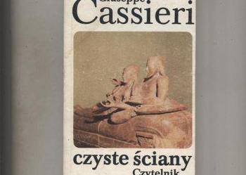 Czyste ściany - Cassieri