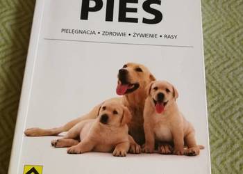 Pies. Poradnik opiekuna - G. Meadows, E. Flint .