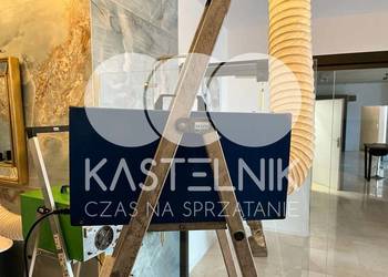Utylizacja mebli po pluskwach Jelenia Góra - Kastelnik likwidacja pluskiew