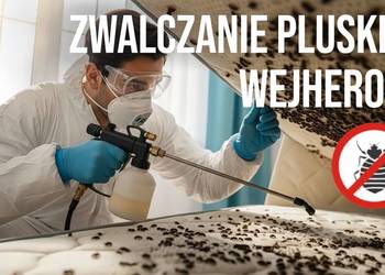 Zwalczanie pluskiew Wejherowo - Odpluskwianie, Dezynsekcja