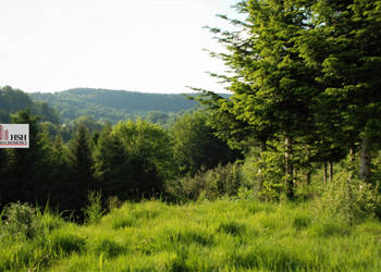 Działka do sprzedania Maków Podhalański 14000m2